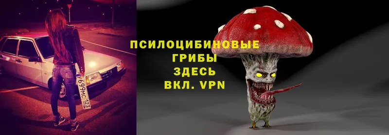 OMG ONION  Зеленоградск  Псилоцибиновые грибы MAGIC MUSHROOMS 