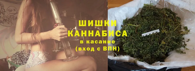 Бошки марихуана Amnesia  купить  цена  площадка состав  Зеленоградск 